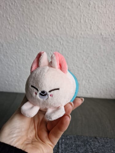 Customer photo review of STAY THE VICTORY Keychain Doll