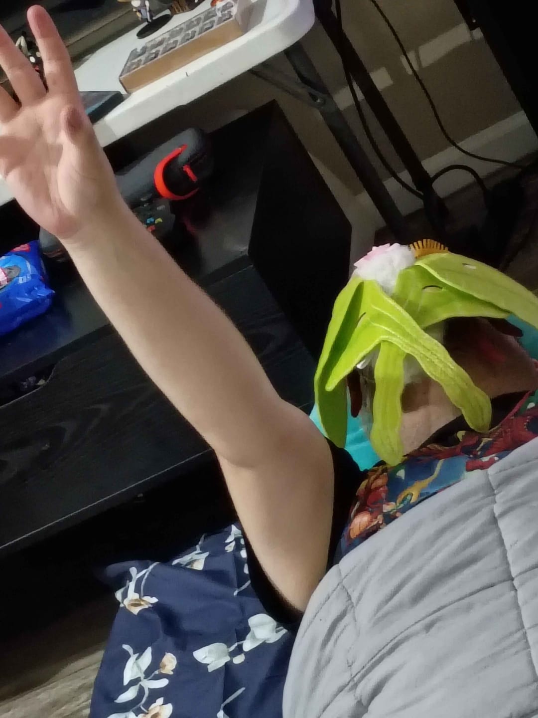 Customer photo review of Indian Moon Moth Plush – Soft, Lifelike, and Perfect for Nature Enthusiasts