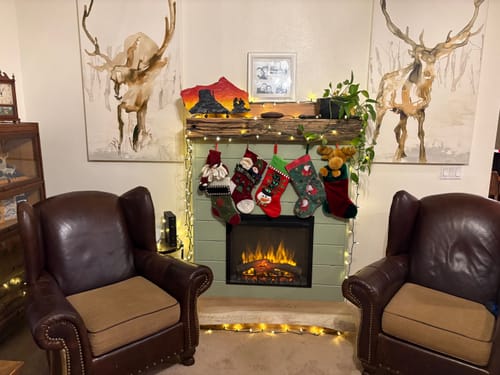 Reviewer's Dimplex Electric Firebox installed in a custom green surround, creating a cozy living room scene with Christmas decor.