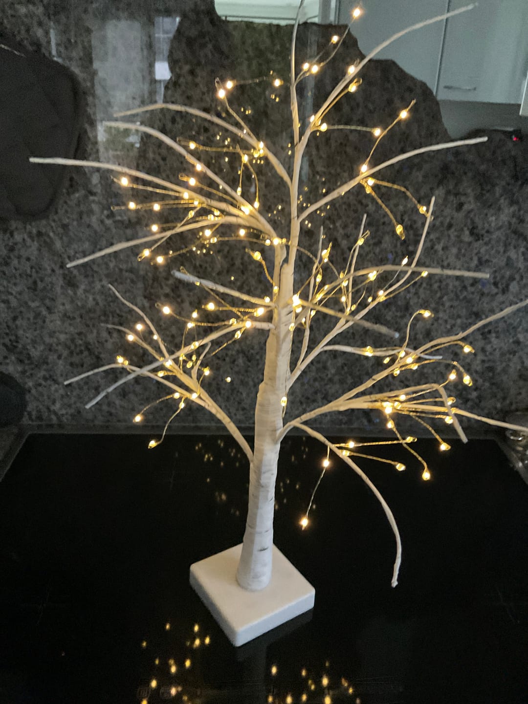 Customer photo review of Bäumlein® - 144 LEDs (Winter Edition)