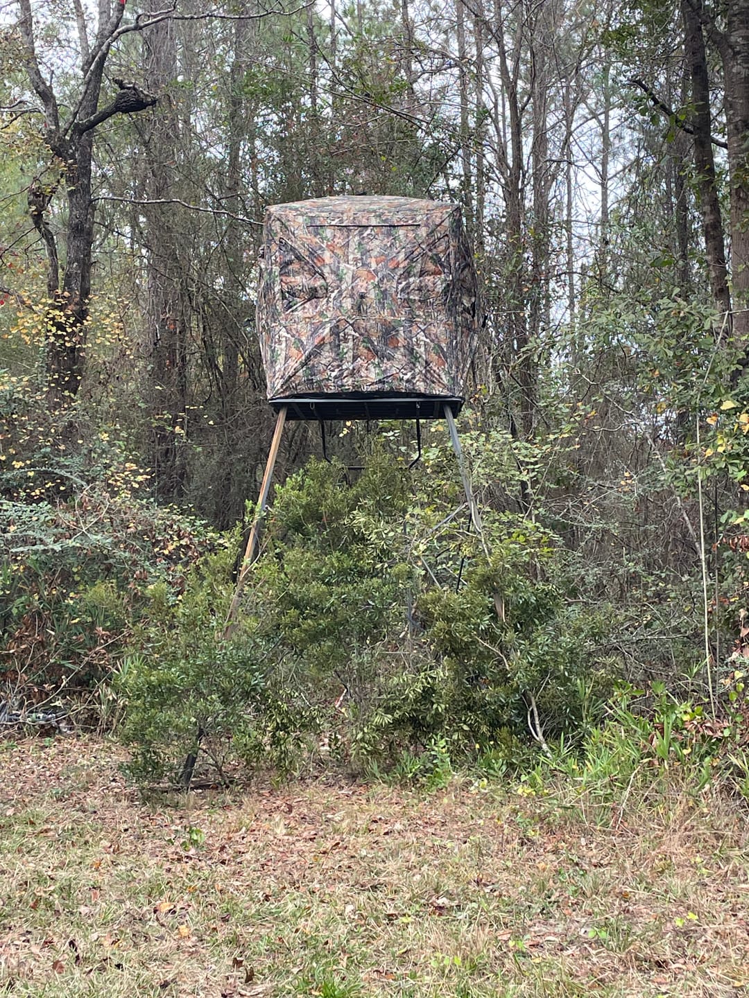 Customer photo review of Vis360 See Through Silent 4 Full Panels Deer Hunting Blind