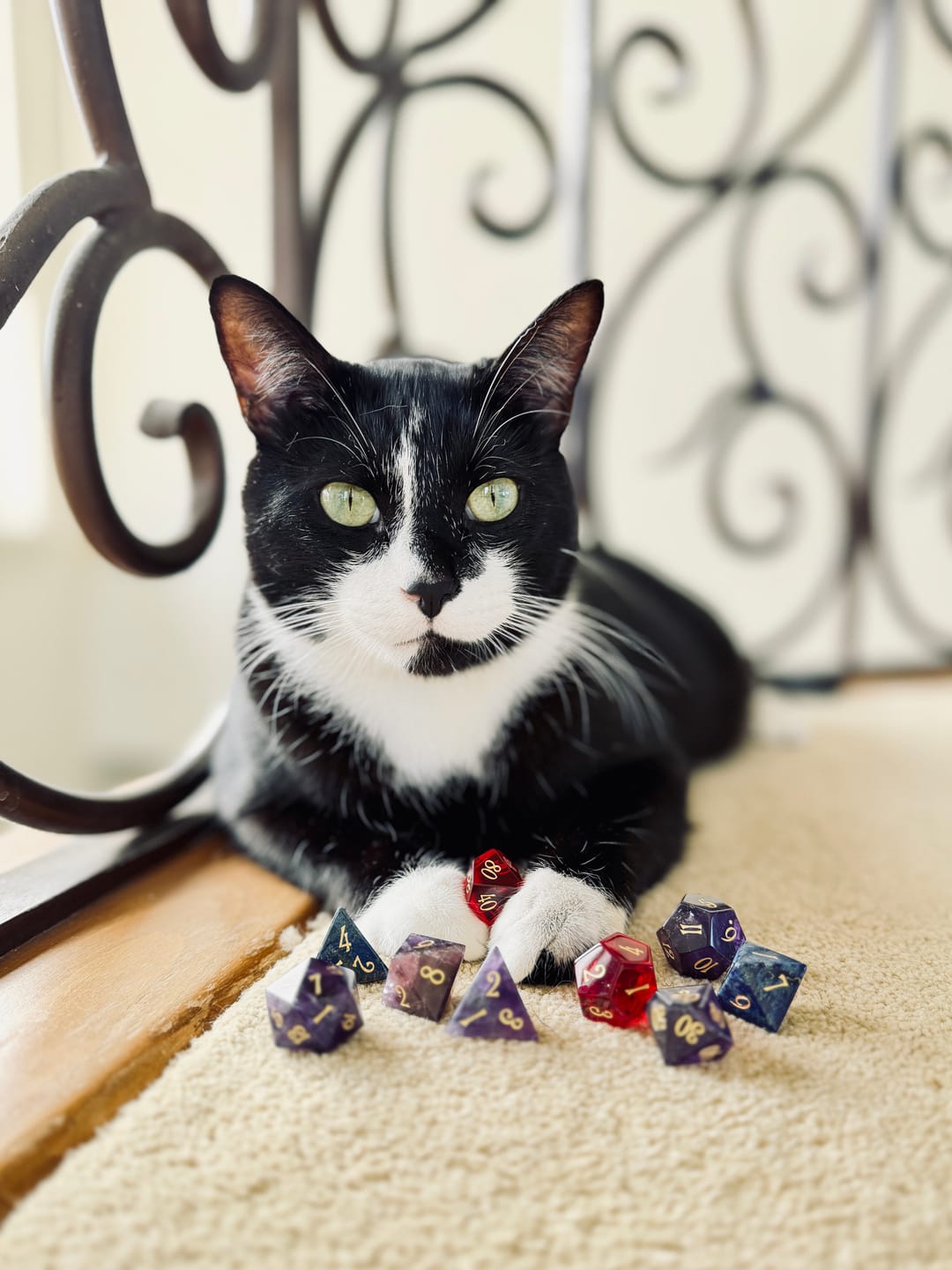 Customer photo review of URWizards D&D Amethyst Gemstone Engraved Dice Set