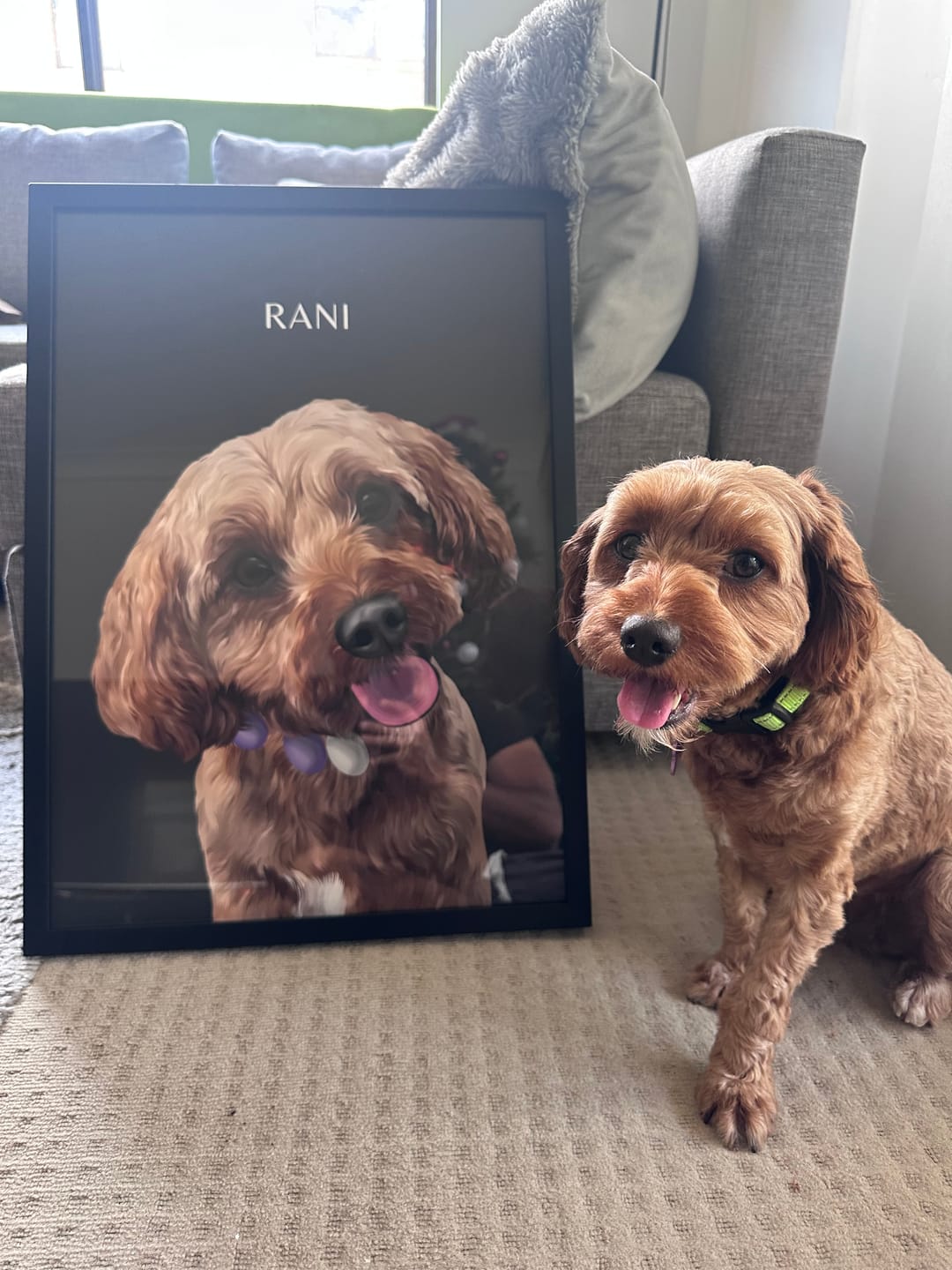 Customer photo review of Custom Pet Portrait