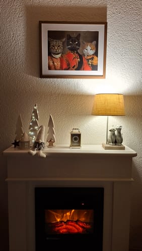Customer photo review of The Duchess, Ambassador & The General - Custom Pet Portrait
