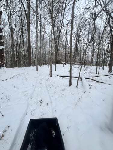 Customer photo review of VisMax See Through Blind | 270° Pop Up 3-4 Man Deer Blind | Portable Ground Blind Hunting for Sale with Hunters Comfort Design
