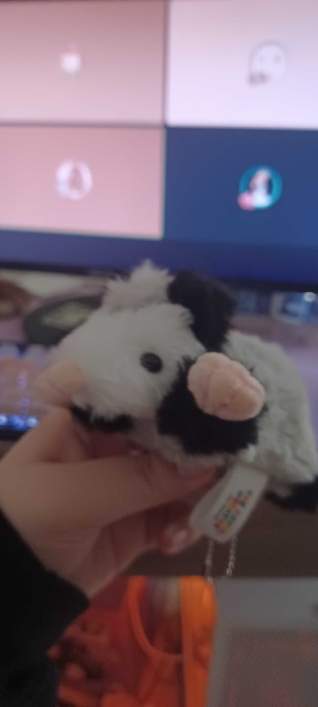 Customer photo review of Peter The Opossum (SOLD OUT - Preorder for early Jan)