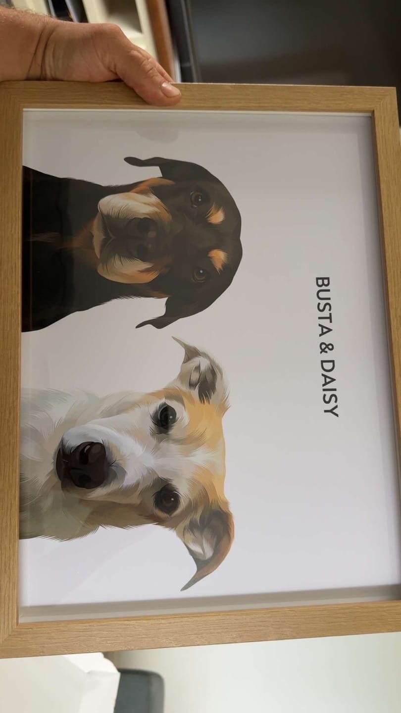 Customer photo review of Shipping Protection+