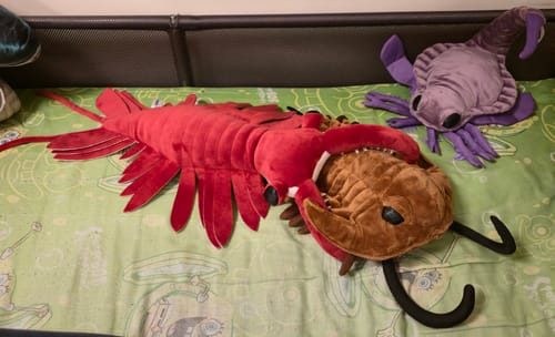 Customer photo review of Anomalocaris Plush – Soft, Realistic Cambrian Predator Toy for Prehistoric Fans
