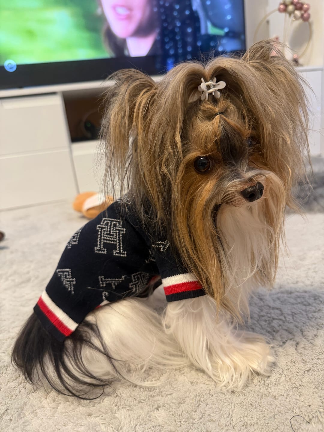 Customer photo review of Tommy Hilfiger Button Front Sweater