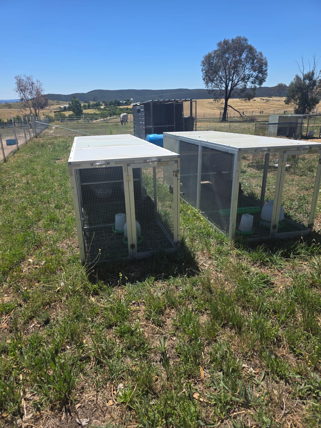 Customer photo review of Galvanised Mesh Floor for Chicken Coop