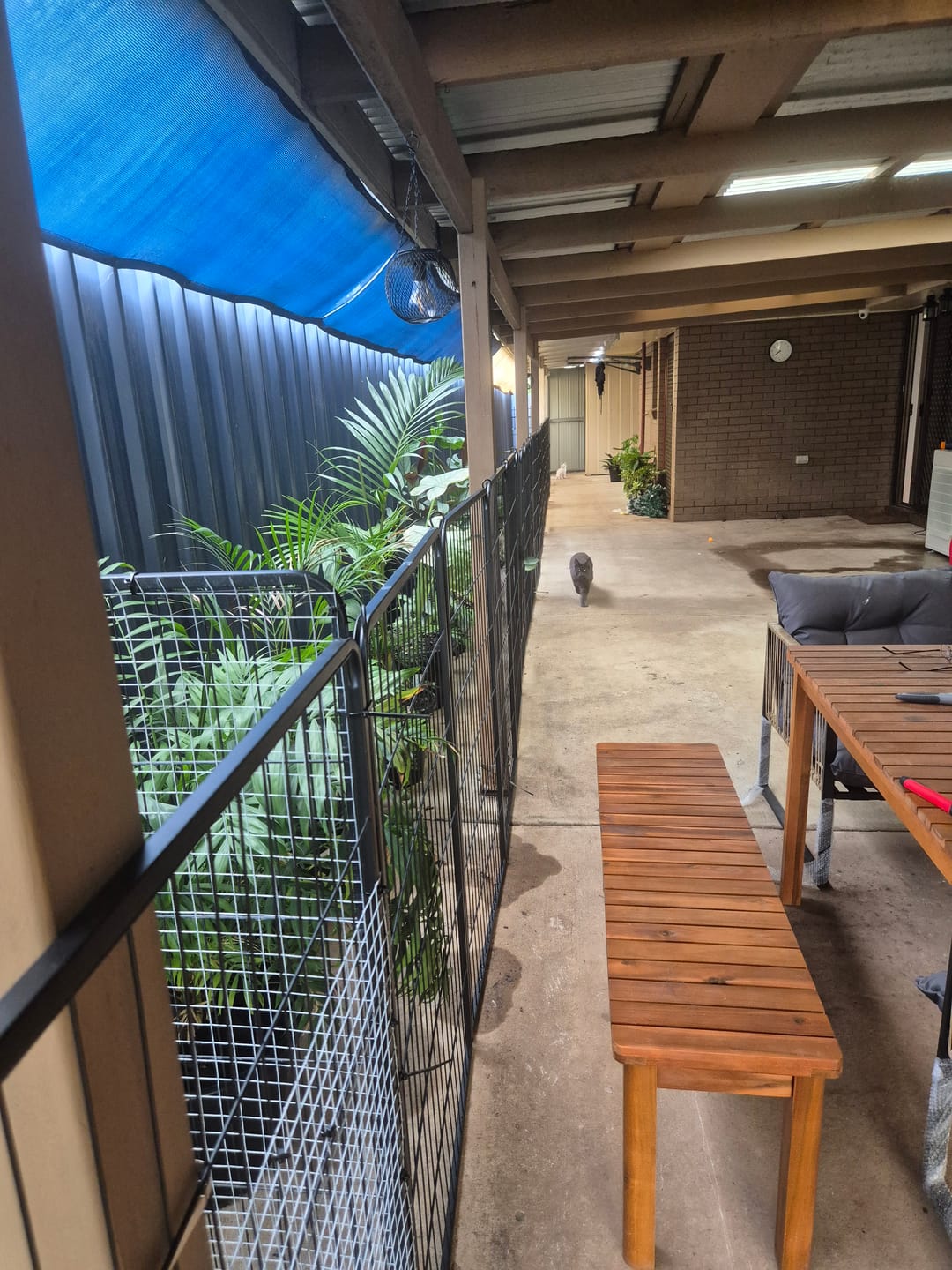 Customer photo review of 8 Panel Pet Dog Playpen