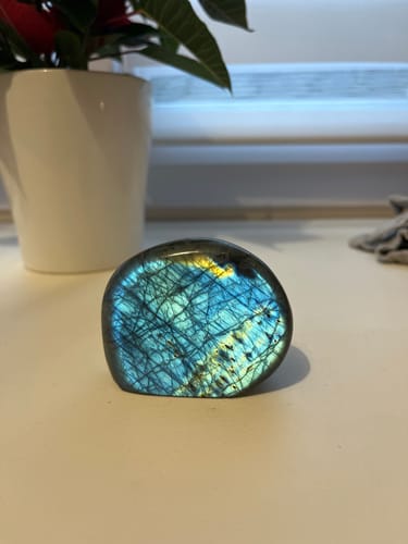 Photo d'un client montrant une pierre polie et sombre avec des reflets bleus et dorés.