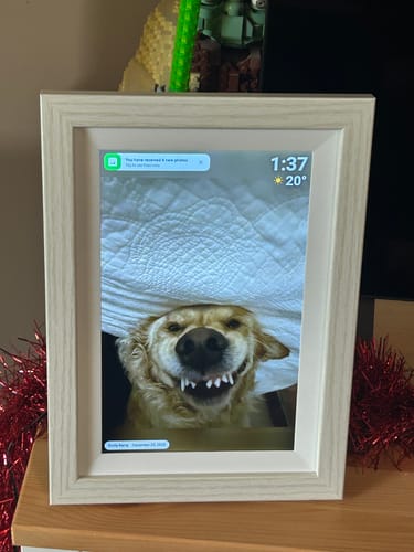 Customer photo review of Digital Photo Frame