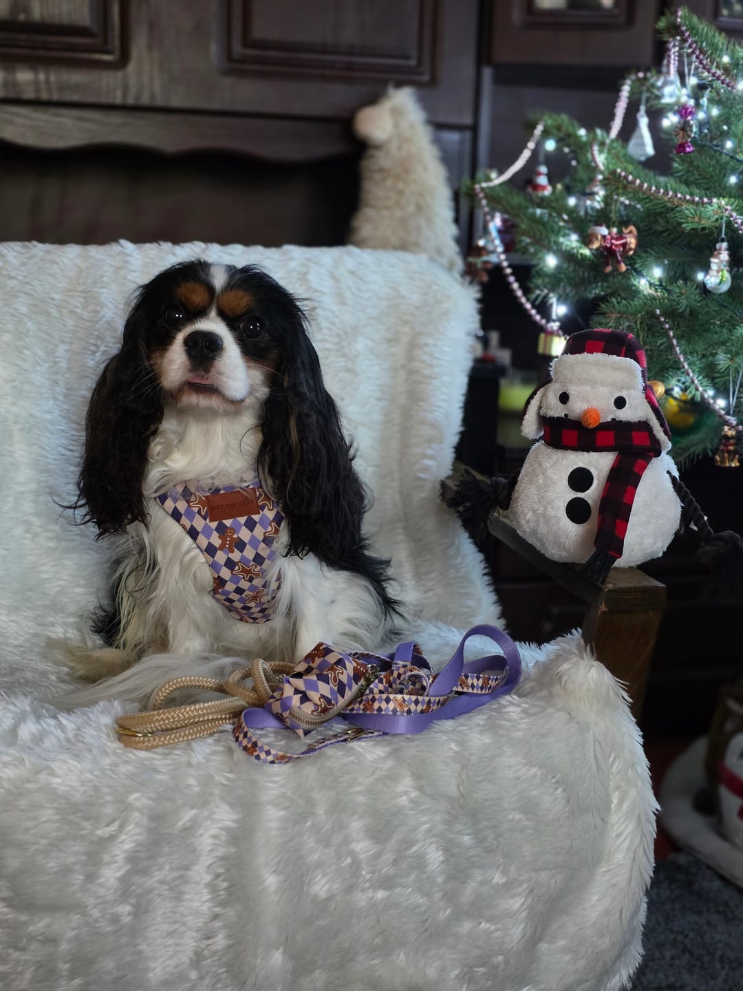 Customer photo review of Szelki bezuciskowe "Gingerbread Grid" - złote okucia