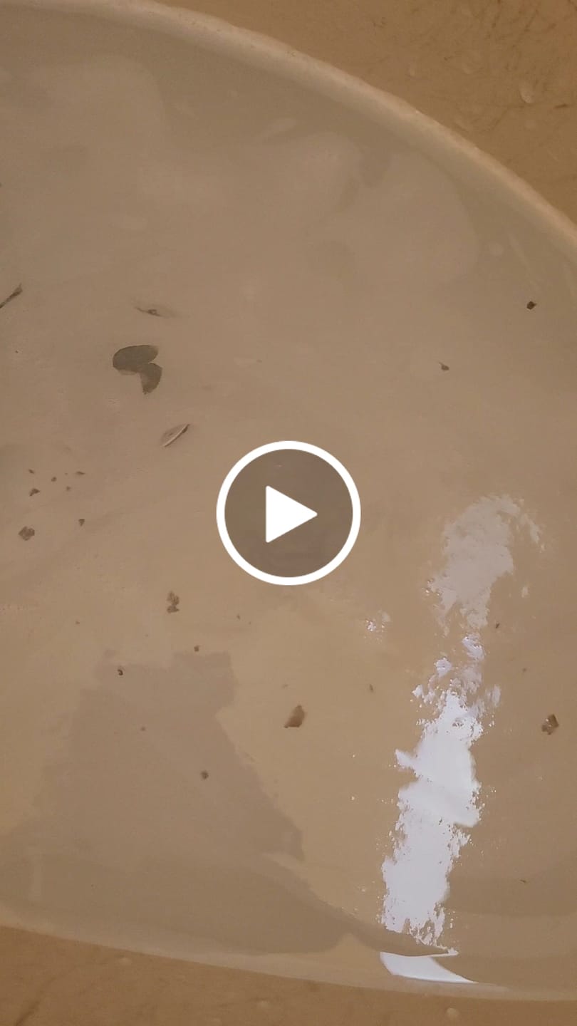 Customer video review of Pastilhas Sterily