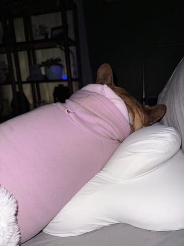 Customer photo review of Mellow CloudAlign™ Pillow