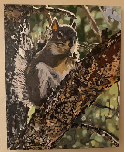 Customer photo review of Custom Pet Paint By Numbers