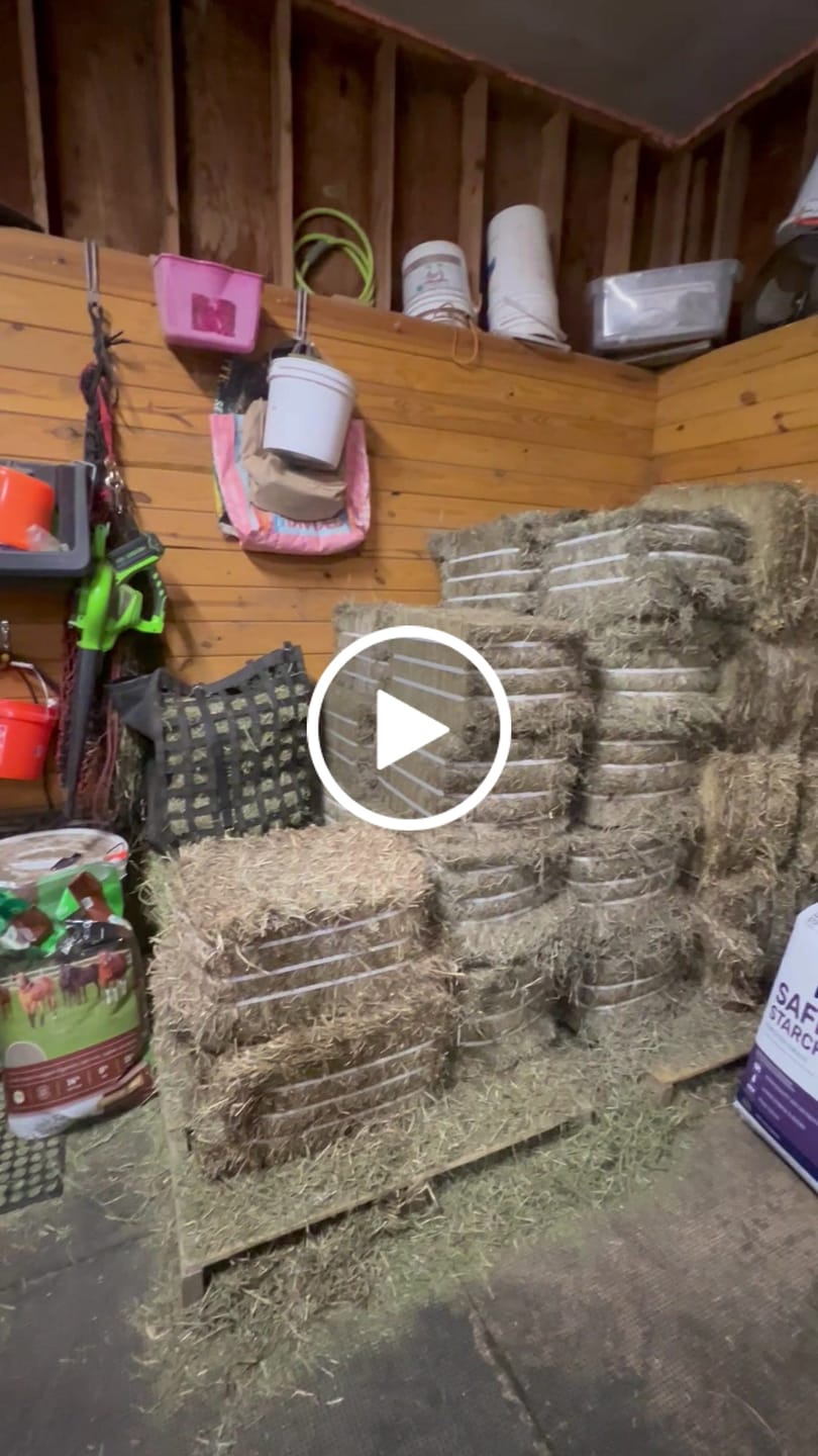 Customer video review of 2nd Cutting (Click here for Qty Discount) NY Timothy Orchard Grass Hay (Buy More - Save More)(Includes delivery too!)