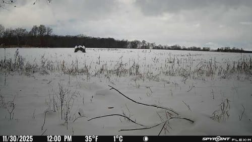 Customer photo review of VisMax See Through 3-4 Person Hunting Blind, Pop Up Ground Deer Blind
