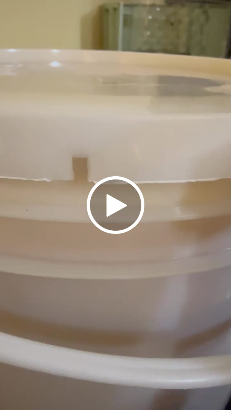Customer video review of Balde Miel Multiflora de La Región de Los Lagos 5,6 kilos