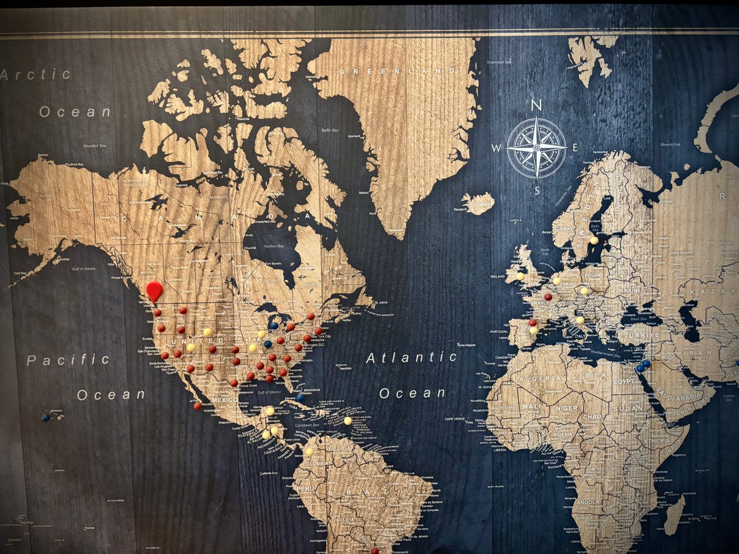 Customer photo review of Smart Pin World Map - Safari