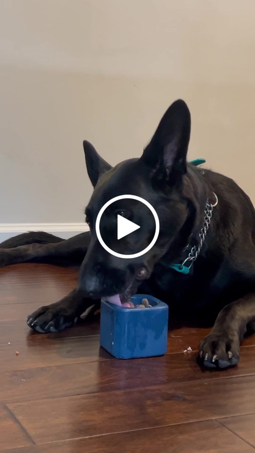 Customer video review of Freezbox - Super Tough Treat Toy