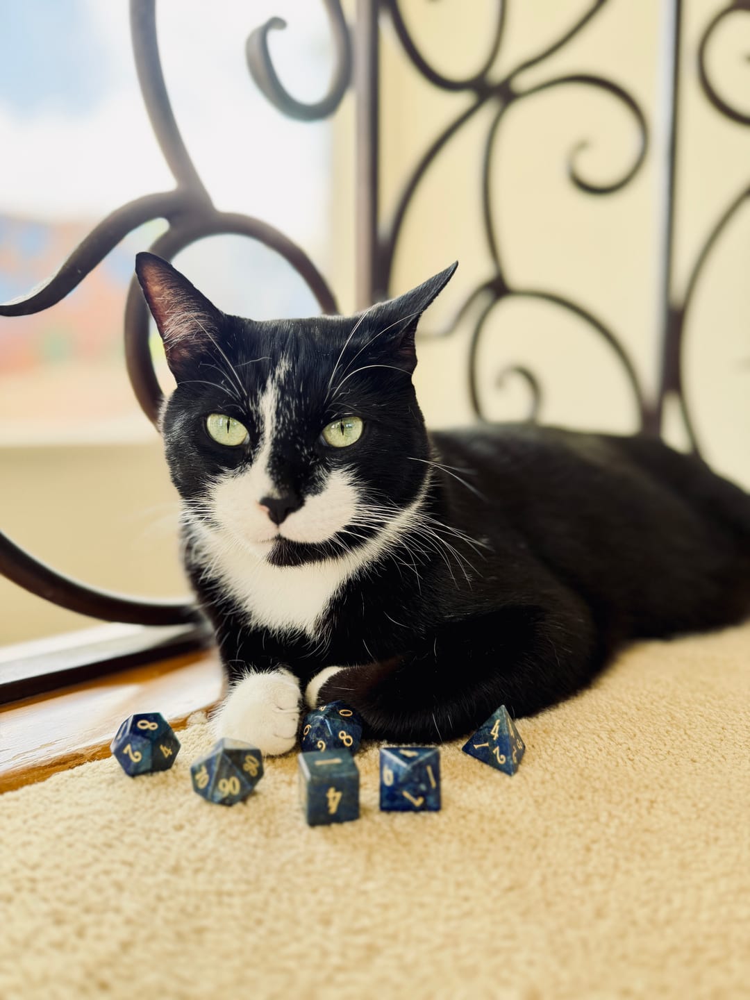 Customer photo review of URWizards D&D Lapis Lazuli Gemstone Engraved Dice Set