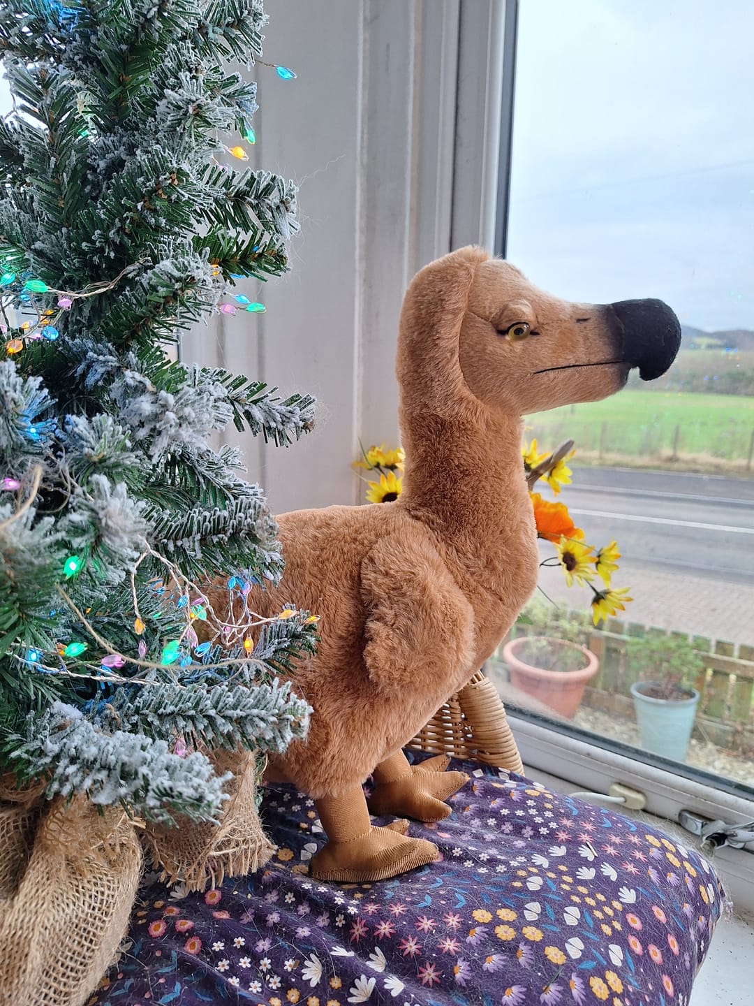 Customer photo review of Dodo Bird Soft Stuffed Plush Toy