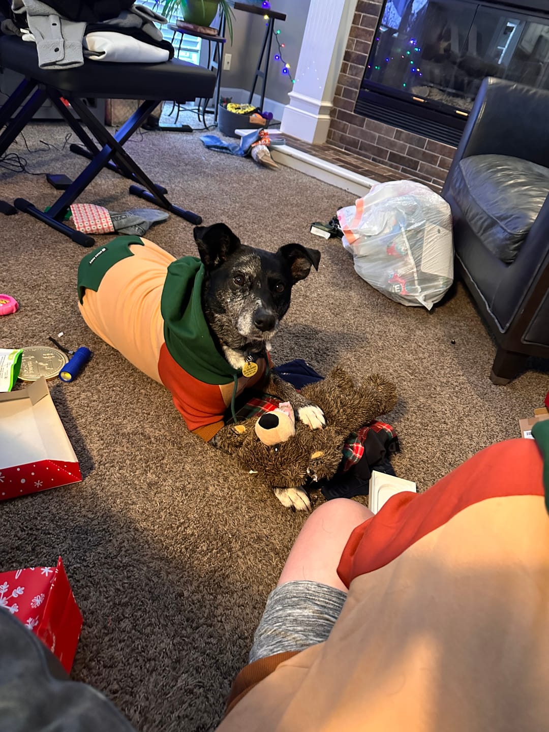 Customer photo review of Ranger Dog Hoodie