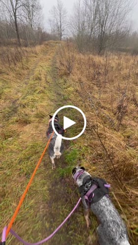 Customer video review of 1.4m Combat Rope Leash - Secure Rated Clip - Orange