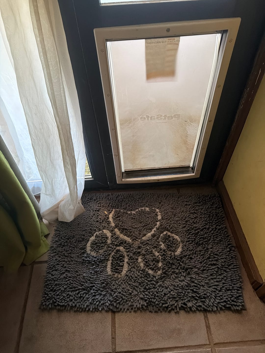 Customer photo review of Tapete Ultra absorbente THE DOGS