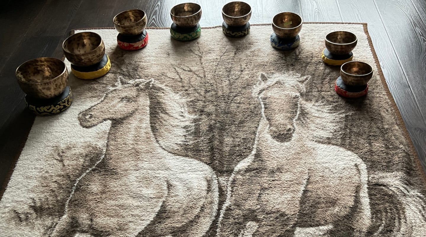 Customer photo review of Sound Practitioners Choice – 8 pc. Chakra-tuned Tibetan Singing Bowl Set C8S-47