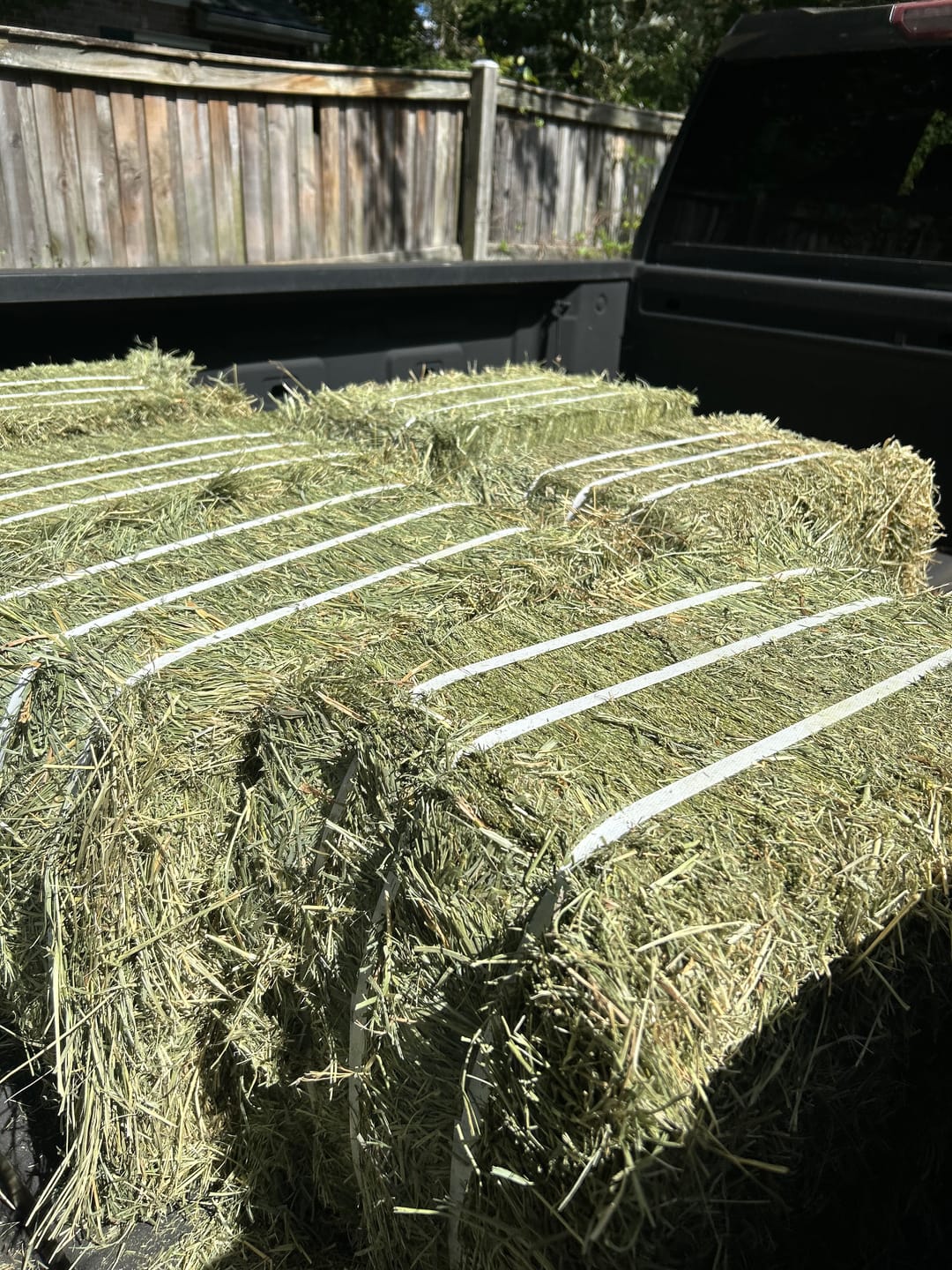 Customer photo review of 2nd Cutting (Click here for Qty Discount) NY Timothy Orchard Grass Hay (Buy More - Save More)(Includes delivery too!)