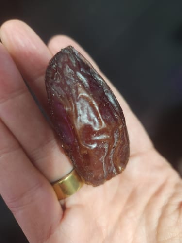 Customer photo review of Palestinian Medjool Dates 🇵🇸