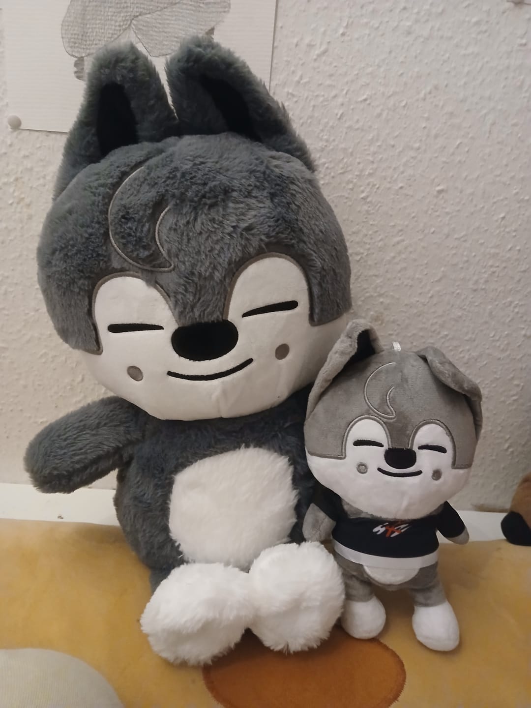 Customer photo review of SKZ Teddybear Plush