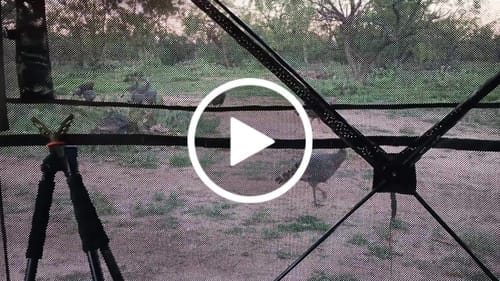 Customer photo review of VisMax See Through Blind | 270° Pop Up 3-4 Man Deer Blind | Portable Ground Blind Hunting for Sale with Hunters Comfort Design