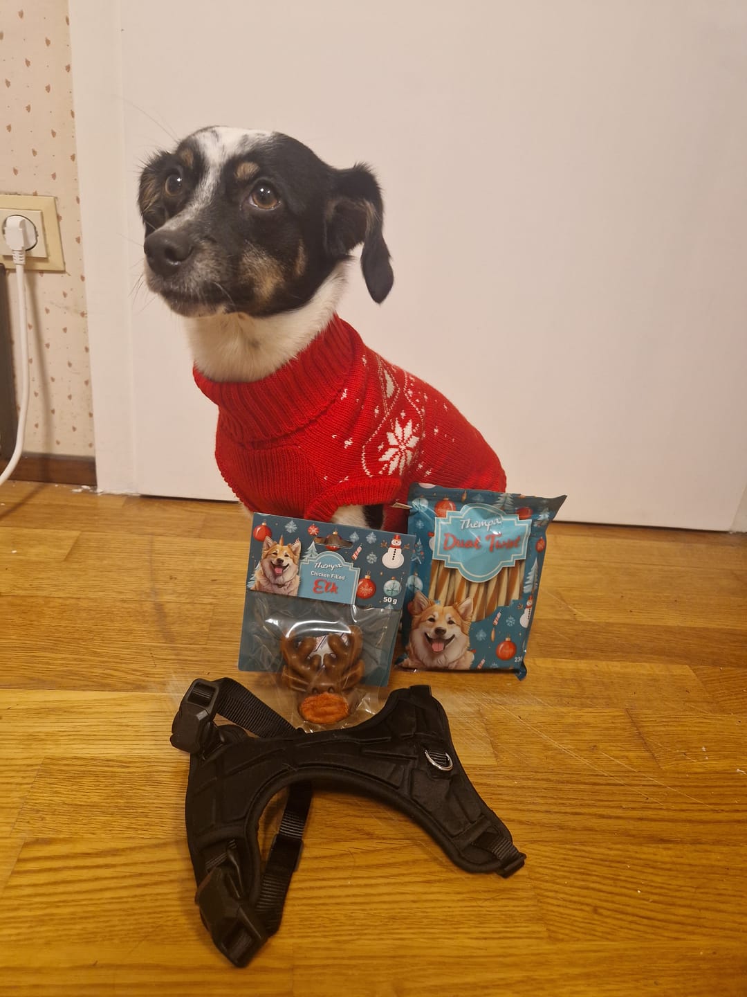 Customer photo review of Knit Christmas Dog Sweater - Dasher Red