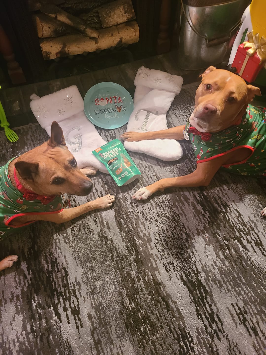 Customer photo review of Pumpkin Oat – Plant-Based Dog Treats