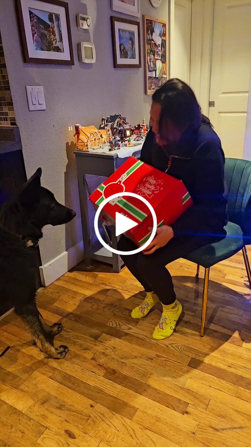 Customer video review of Large Dog Black Friday Bundle II (4x 5oz Jerky Bags + 4x LARGE Smoked Marrow Bones)