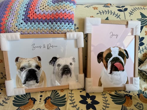 Customer photo review of Detailed Pet Portrait