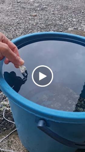 Customer video review of PlantWave