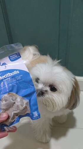 Customer photo review of Protein Discovery Kit: Meatballs