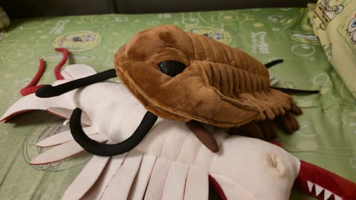 Customer photo review of Realistic Redlichiida Trilobite Plush – Soft, Educational, and Perfect for Prehistoric Enthusiasts
