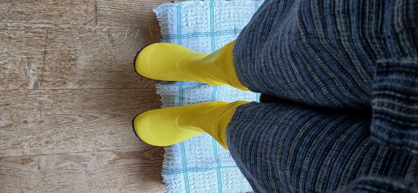 Customer photo review of Brisk I - Bottes De Pluie Barefoot