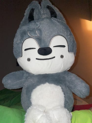 Customer photo review of SKZ Teddybear Plush