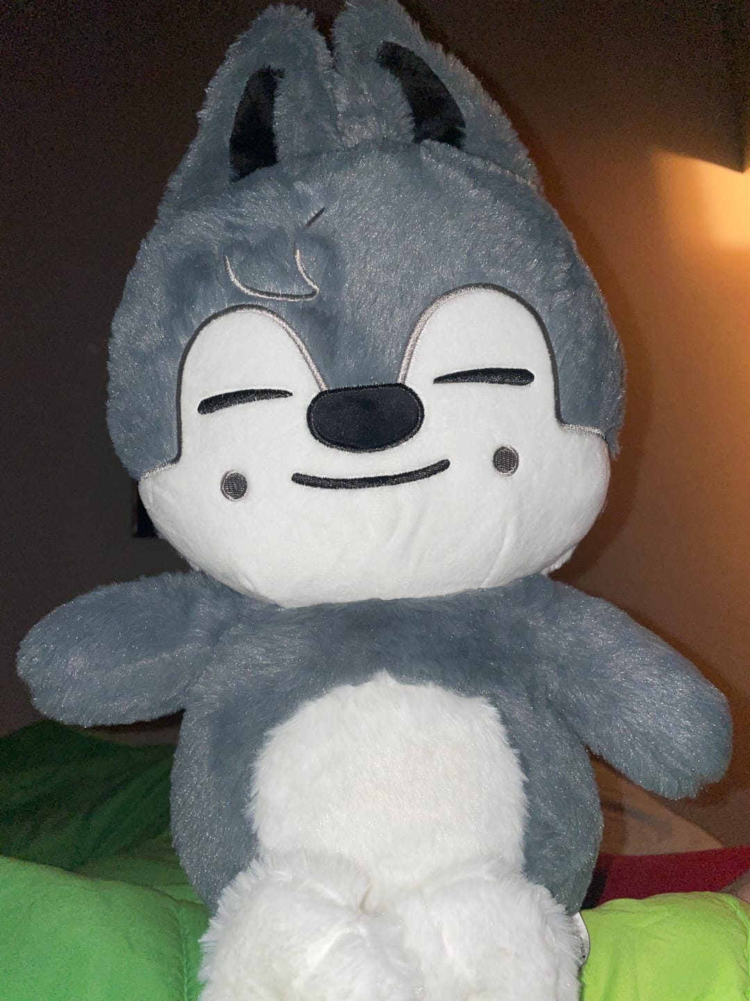 Customer photo review of SKZ Teddybear Plush