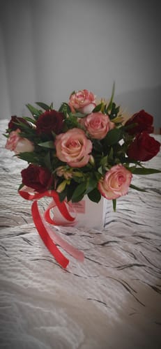 Customer photo review of Lexi Box - Pink & Red