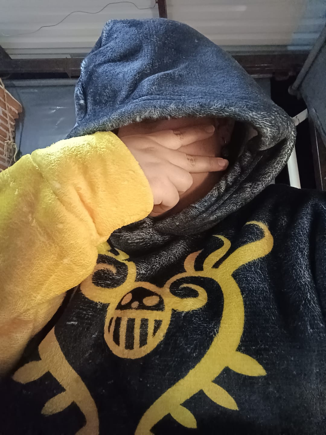 Customer photo review of Sudaderota Trafalgar Law