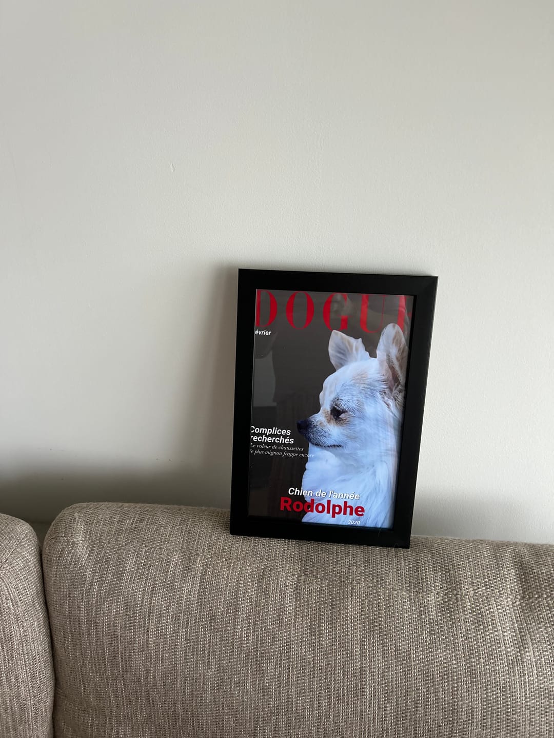 Customer photo review of Dogue - Poster personnalisé