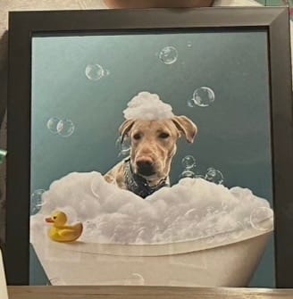 Customer photo review of Fun in the tub - Personalized Poster